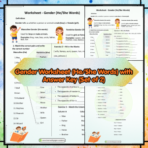 Grade 2 Gender Worksheet (He/She Words) with Answer Key | Masculine and Feminine Activities (Set of 2)