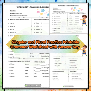 Singular and Plural Worksheet with Answer Key | Printable Grammar Practice Activity