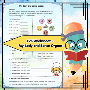 Grade 2 EVS Worksheet - My Body and Sense Organs