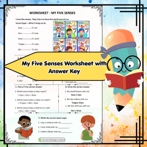 Grade 2 My Five Senses Worksheet with Answer Key | Sense Organs Activity for Teachers & Parents