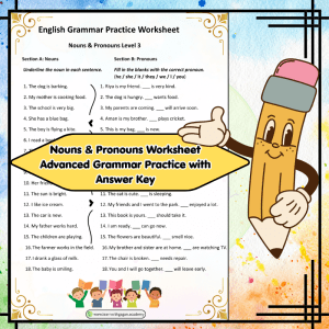 Grade 3 Nouns & Pronouns Worksheet - Advanced Grammar Practice with Answer Key