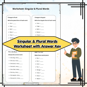 Singular & Plural Words Worksheet with Answer Key | Printable Grammar Practice PDF