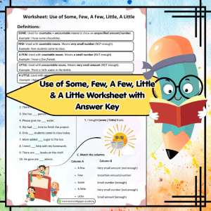 Grade 3 Use of Some, Few, A Few, Little & A Little Worksheet | English Grammar Practice Printable
