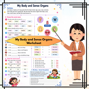 My Body and Sense Organs Worksheet | Fun Activity Sheet for Early Learners | Printable PDF